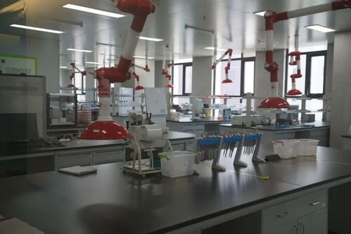 博瑞迪生物完成千万级A轮融资，加速动植物分子育种技术产业化