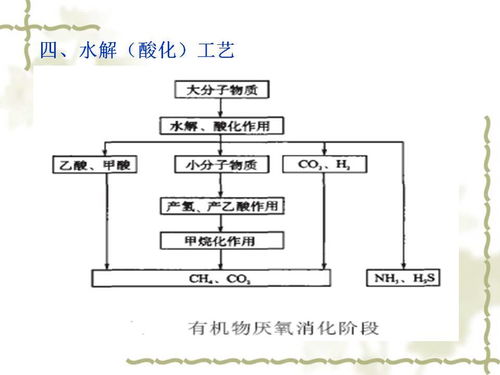 新型生物处理技术 活性污泥法与生物化工产品技术研发的融合与创新