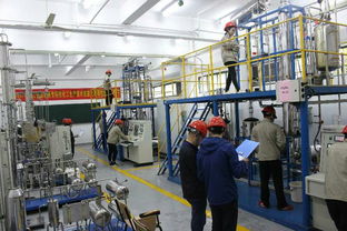 精细化工技术专业学生于省级技能大赛中勇夺银牌，彰显生物化工产品技术研发实力