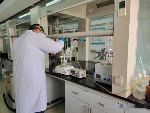 立足区域卤源禀赋，默锐科技以生物化工技术研发驱动精细化工新未来